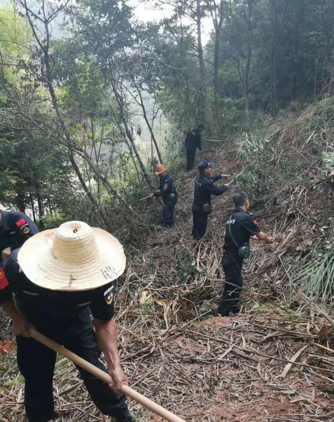 干好每一天|青山掛白我復(fù)綠，無私奉獻金森人——資源保護部義務(wù)突擊隊工作記實