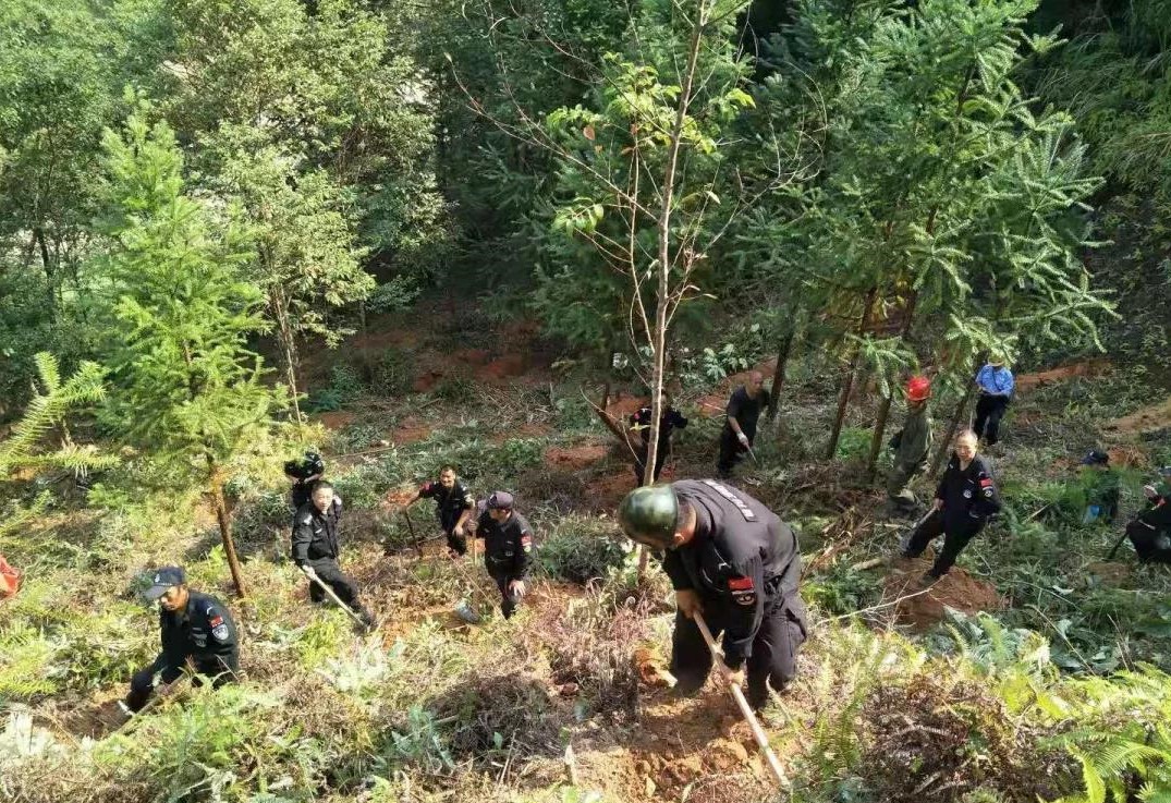 干好每一天|青山掛白我復(fù)綠，無私奉獻金森人——資源保護部義務(wù)突擊隊工作記實