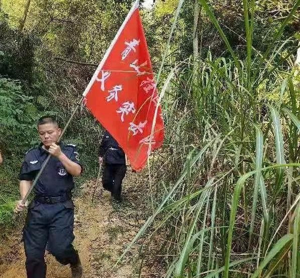 干好每一天|青山掛白我復(fù)綠，無私奉獻金森人——資源保護部義務(wù)突擊隊工作記實